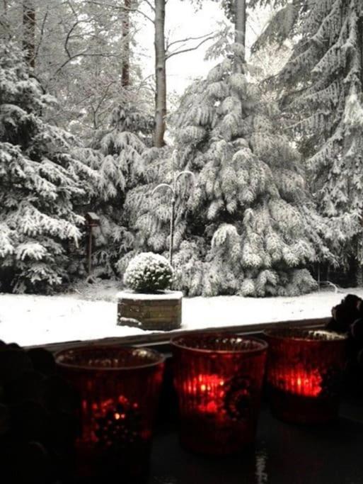 Magical Cottage In The Woods بارن المظهر الخارجي الصورة
