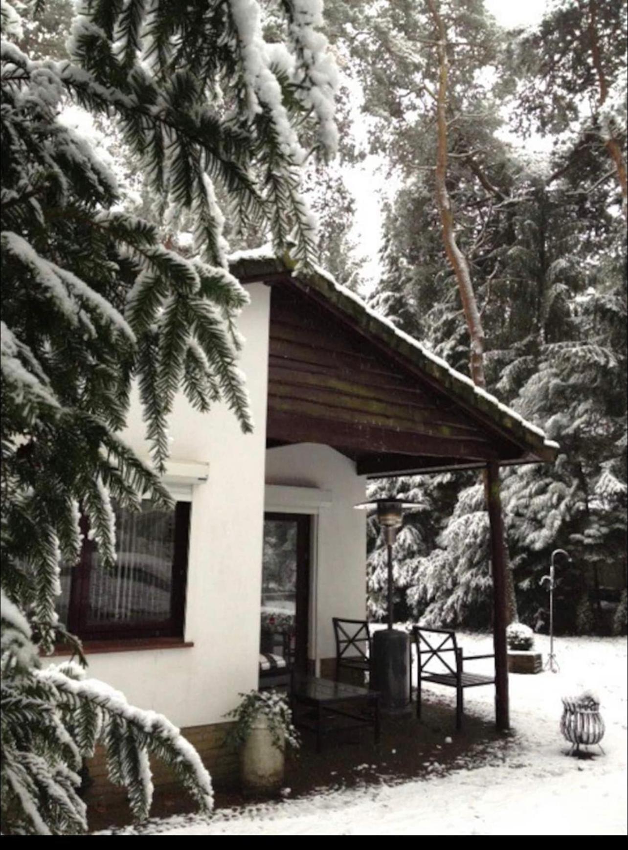 Magical Cottage In The Woods بارن المظهر الخارجي الصورة